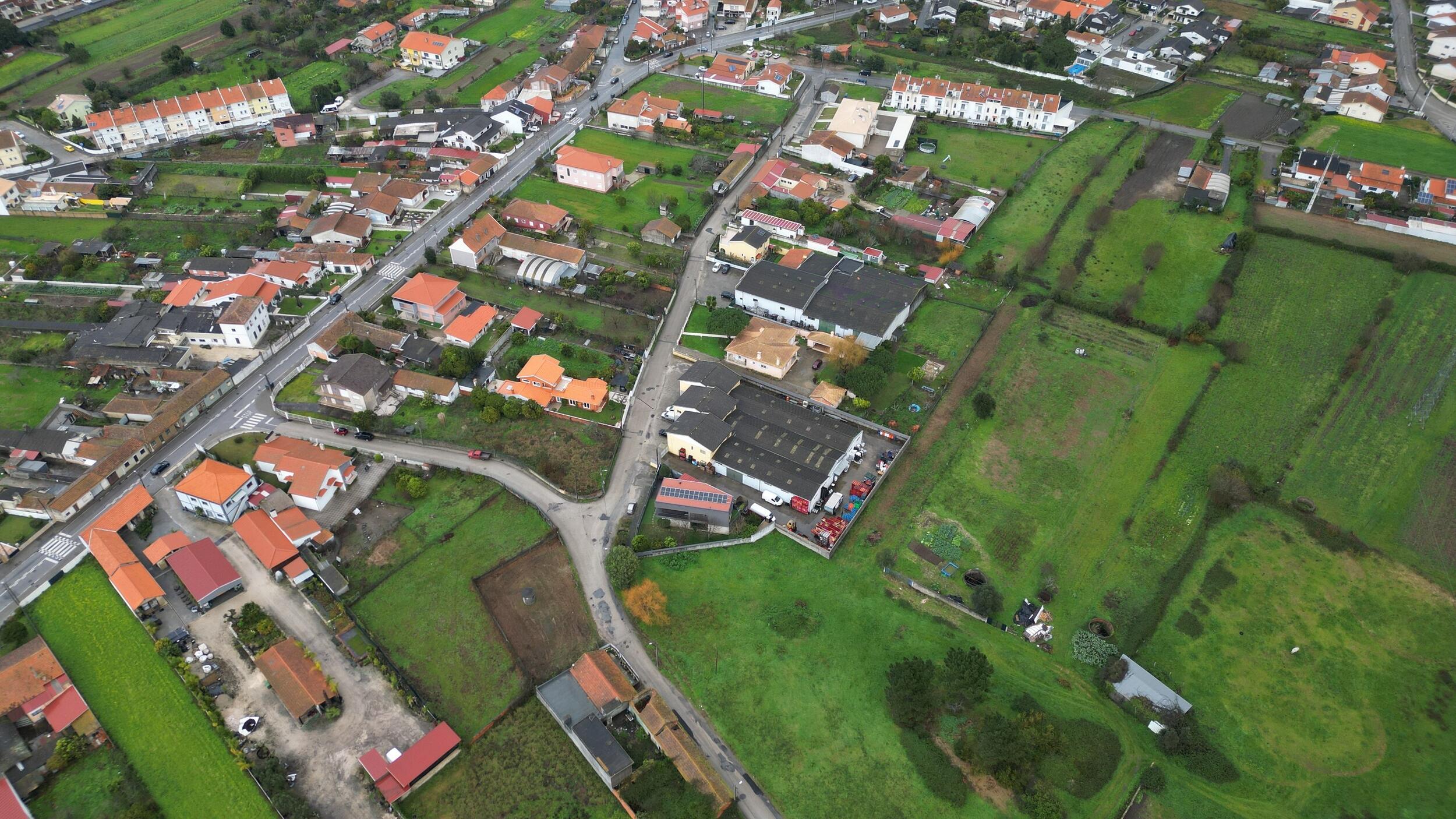 r_correguinho_cacia_01