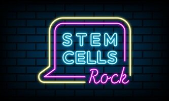Stem cells - talk-show sobre células estaminais