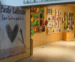 Biblioteca Municipal de Ílhavo convida a descobrir ilustrador Paulo Galindro