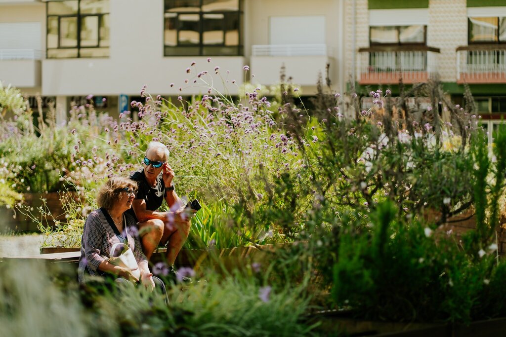 O tempo vive devagar no Planteia