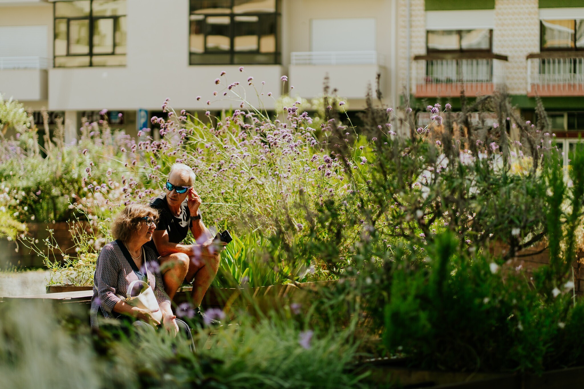 O tempo vive devagar no Planteia