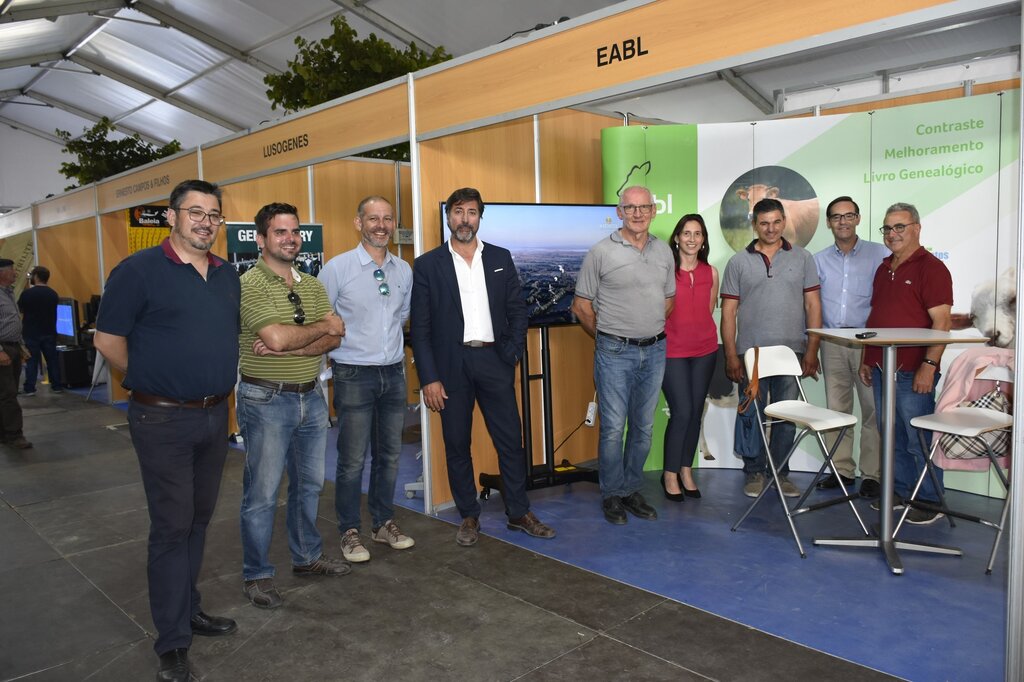 66385300_2290527617692234_6279541515907760128_o