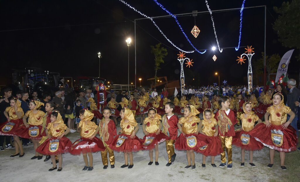 66338425_2290527764358886_5418856299154636800_o