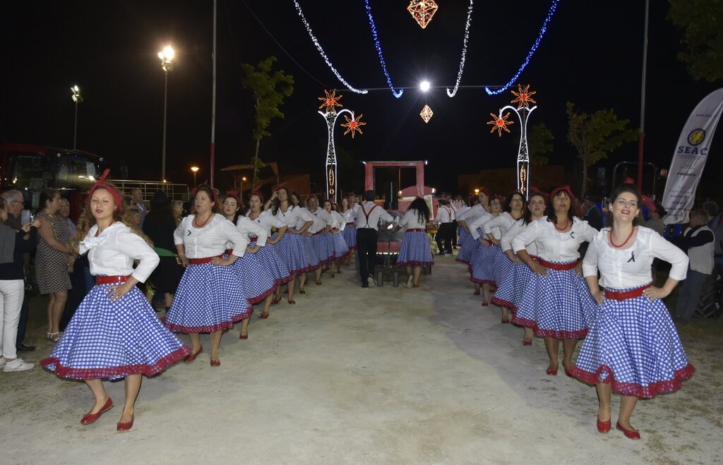 66376663_2290527917692204_7252822551615766528_o