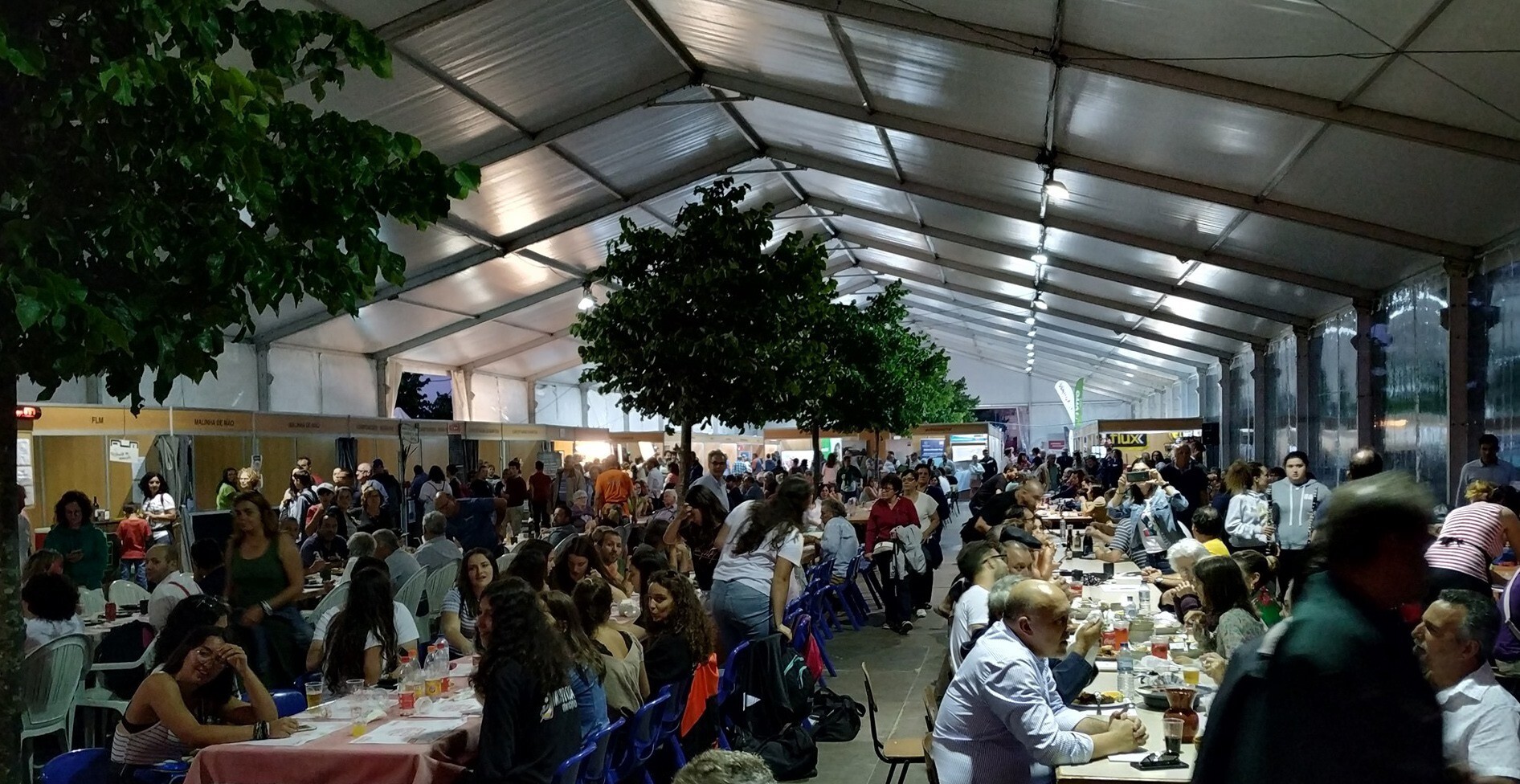 66470308_2290527677692228_7389310775422091264_o