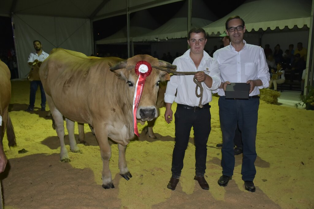 66626256_2295972943814368_7337664906084220928_o