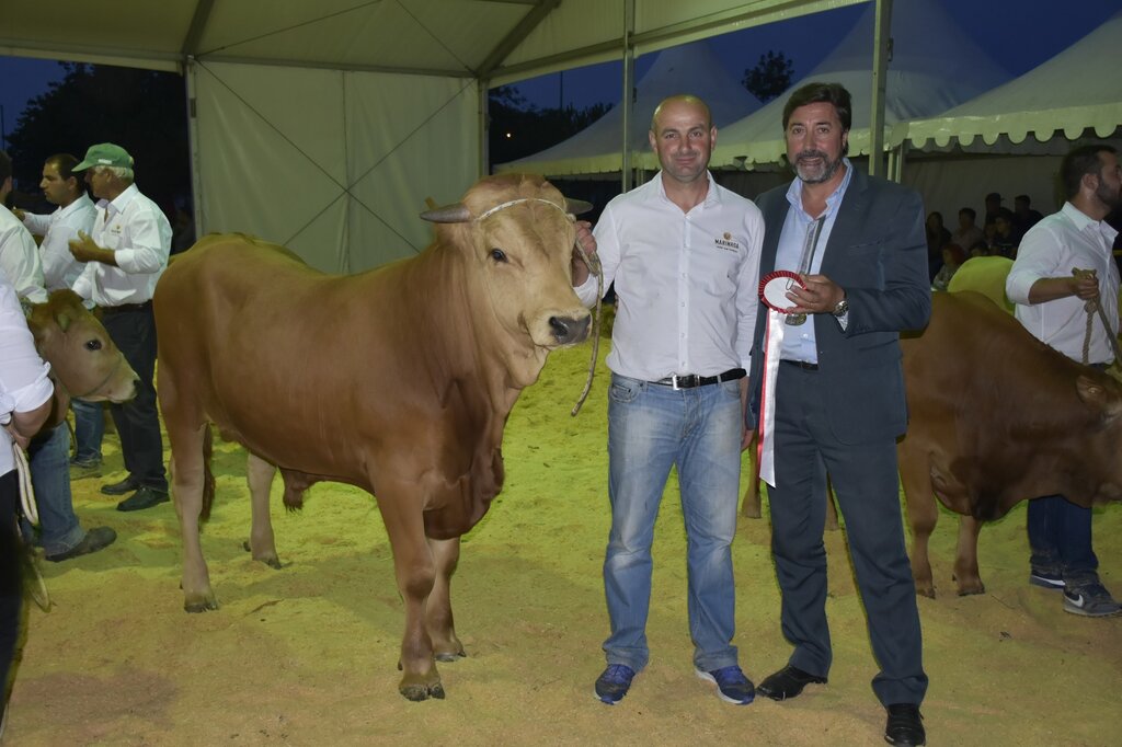 66596964_2295972427147753_2439810241836089344_o