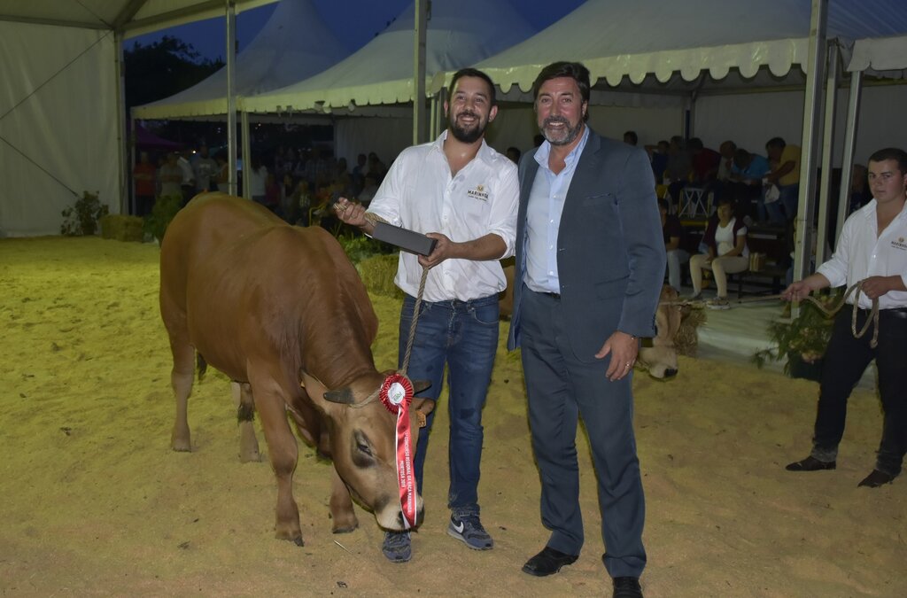 66647814_2295972407147755_8196875462996131840_o