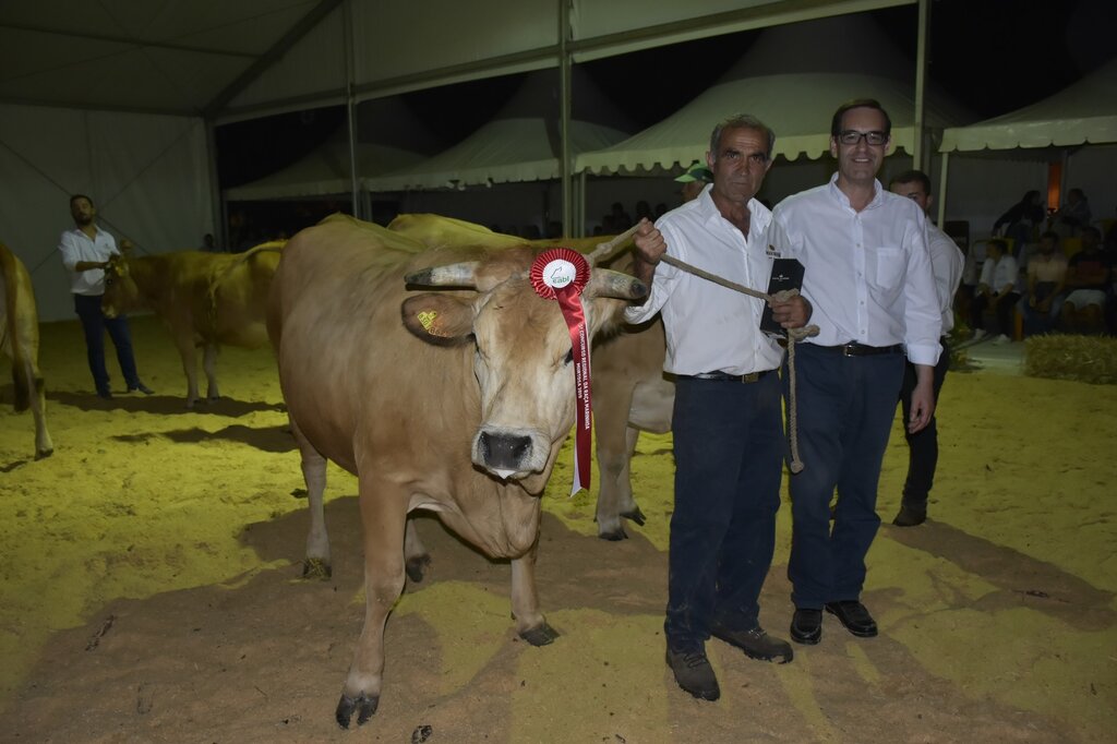 66610928_2295972980481031_4507415422345150464_o