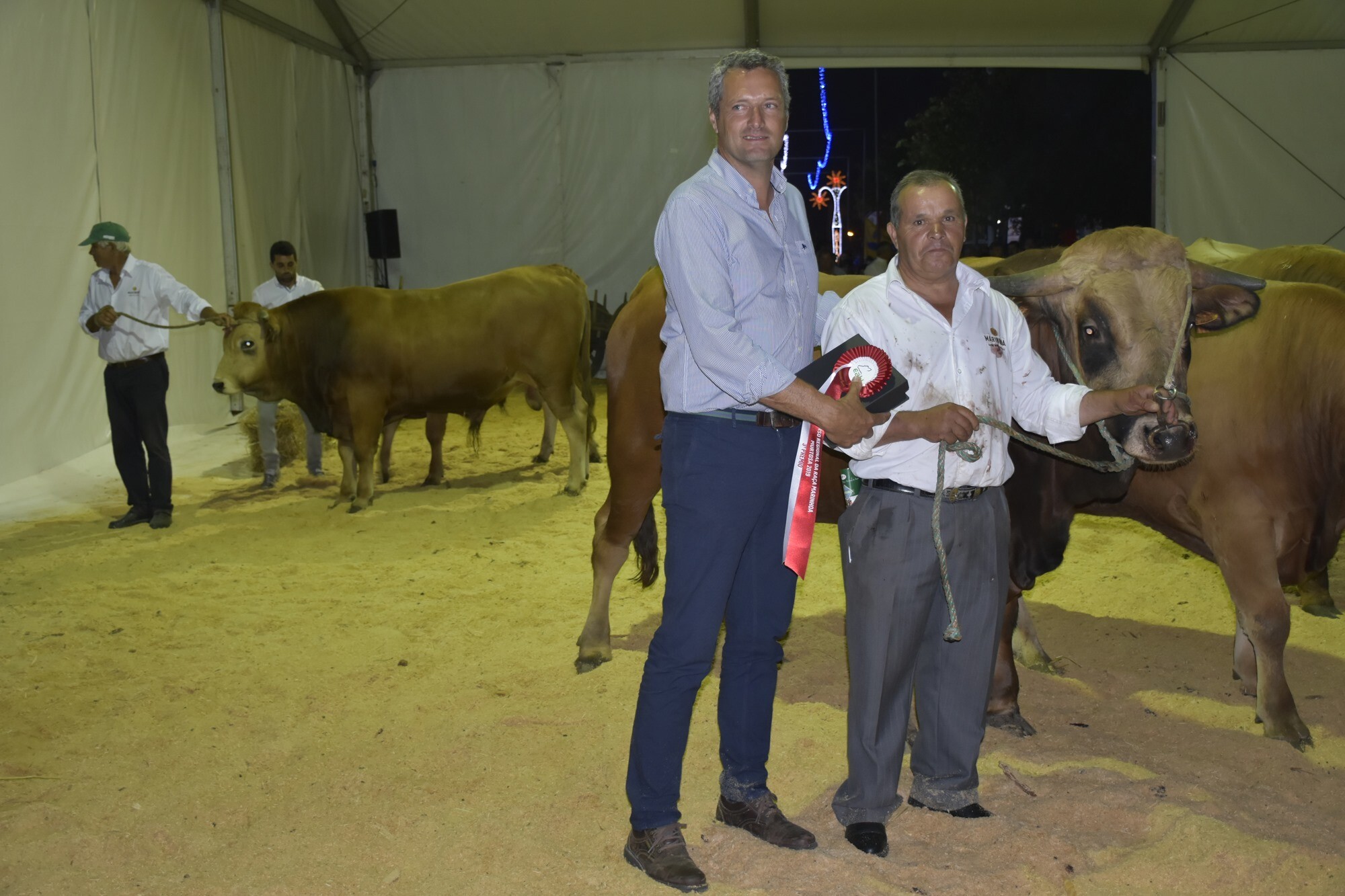 66722841_2295972467147749_8990249965171245056_o