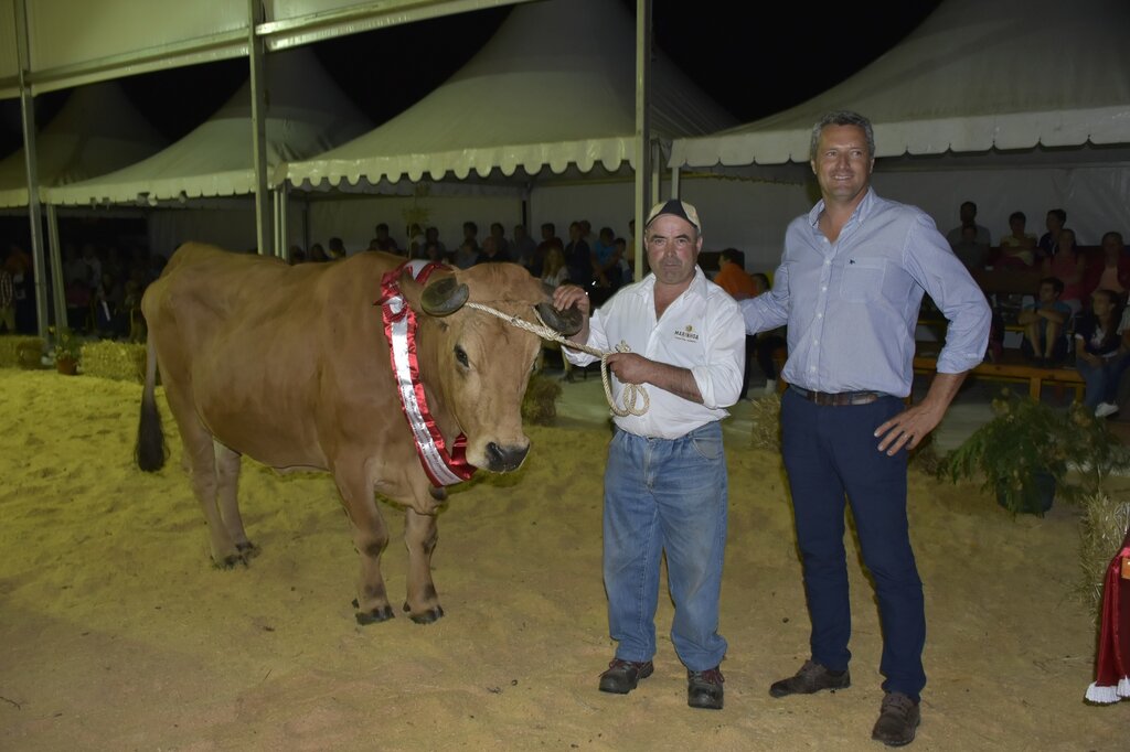 66849664_2295973347147661_1976600248050515968_o