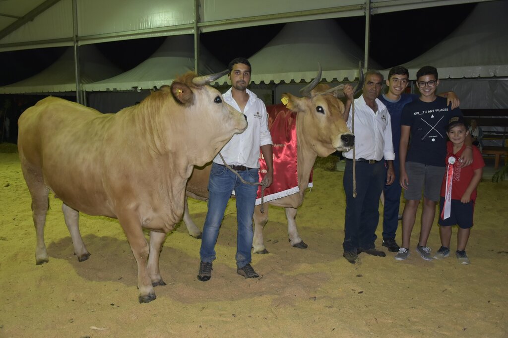 67166321_2295973517147644_10567316060241920_o