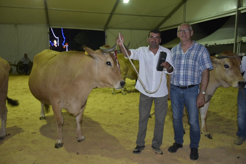 67086435_2295973217147674_5398007265179467776_o