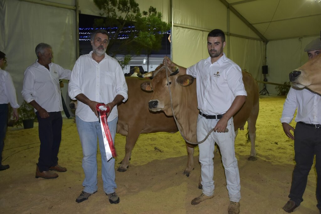 67098597_2295973100481019_6776706035076825088_o