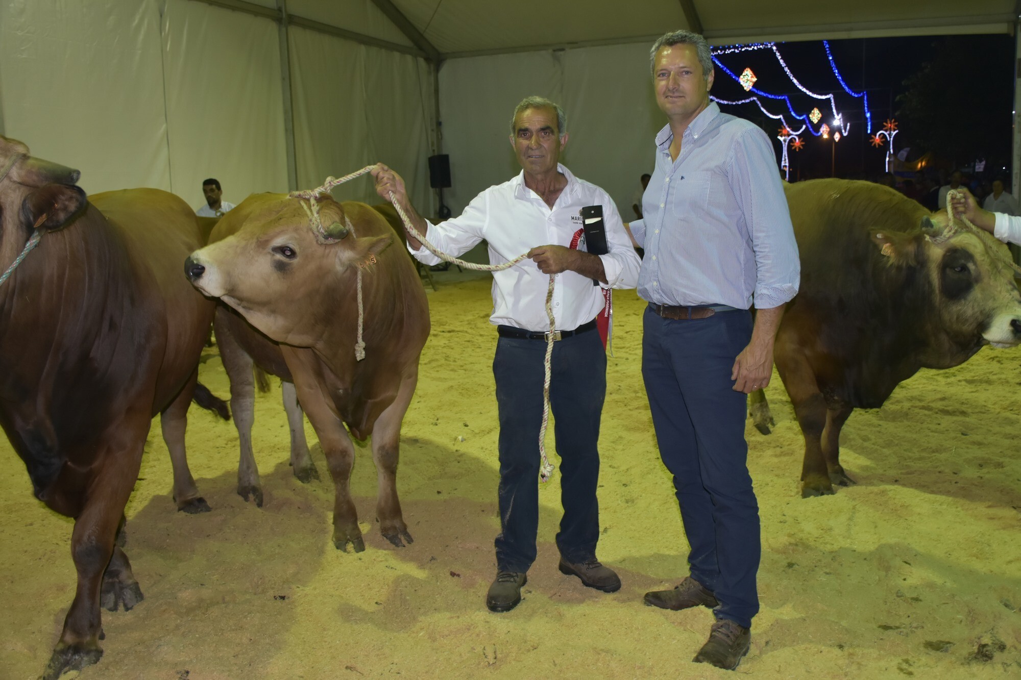 67288133_2295972563814406_7607903861801484288_o