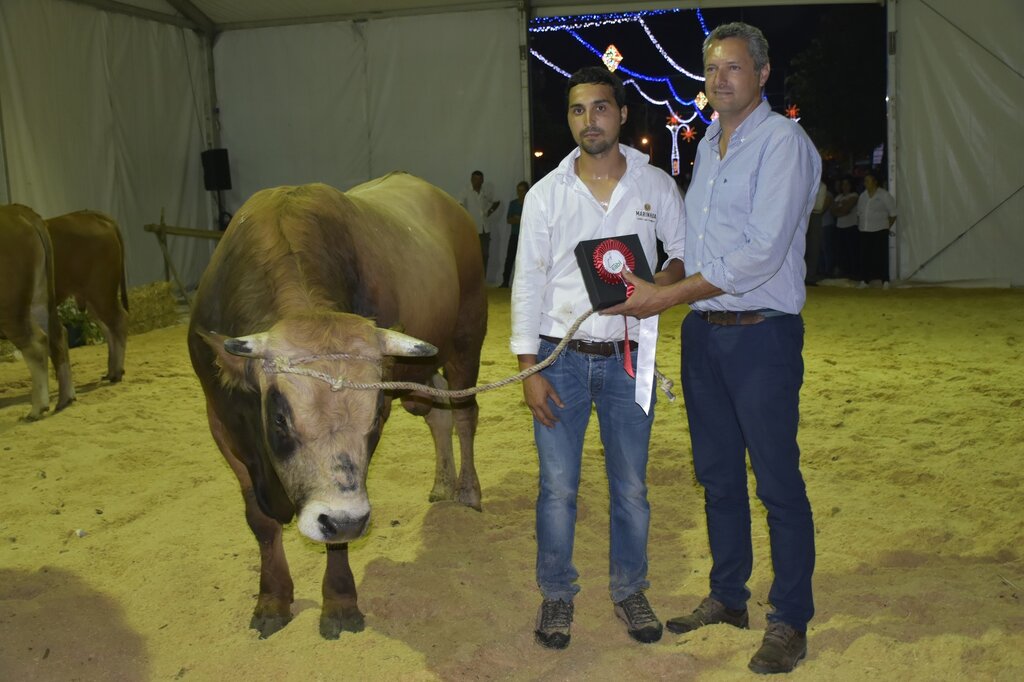 67318761_2295972557147740_2182849984968261632_o