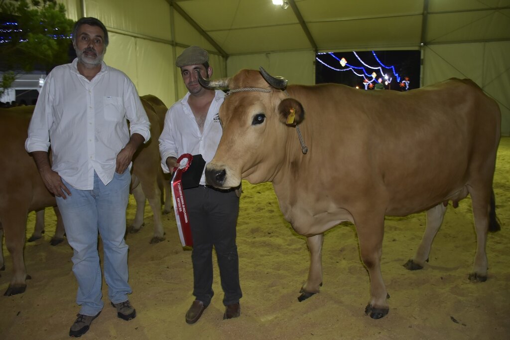 67330590_2295973023814360_1331851697584078848_o