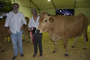 67330590_2295973023814360_1331851697584078848_o