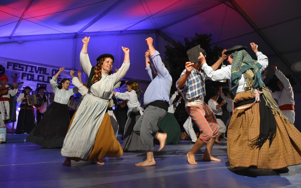 66645895_2295526940525635_5054754196142686208_o