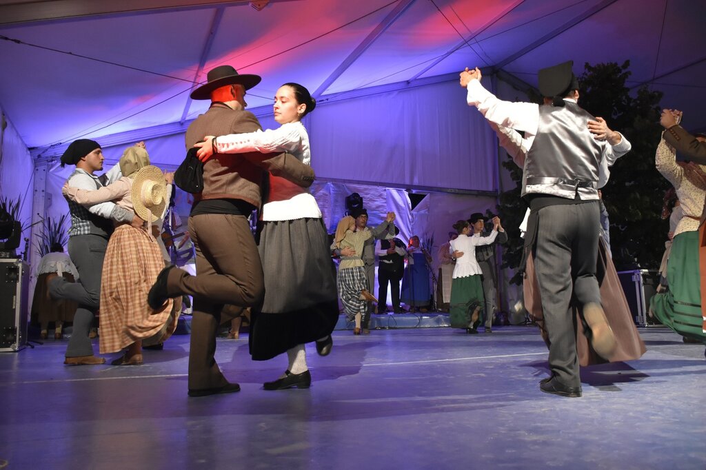 66793609_2295527217192274_6680952728509743104_o