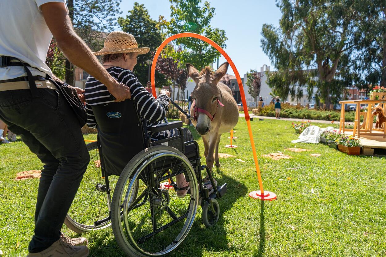 Festival Cabelos Brancos 