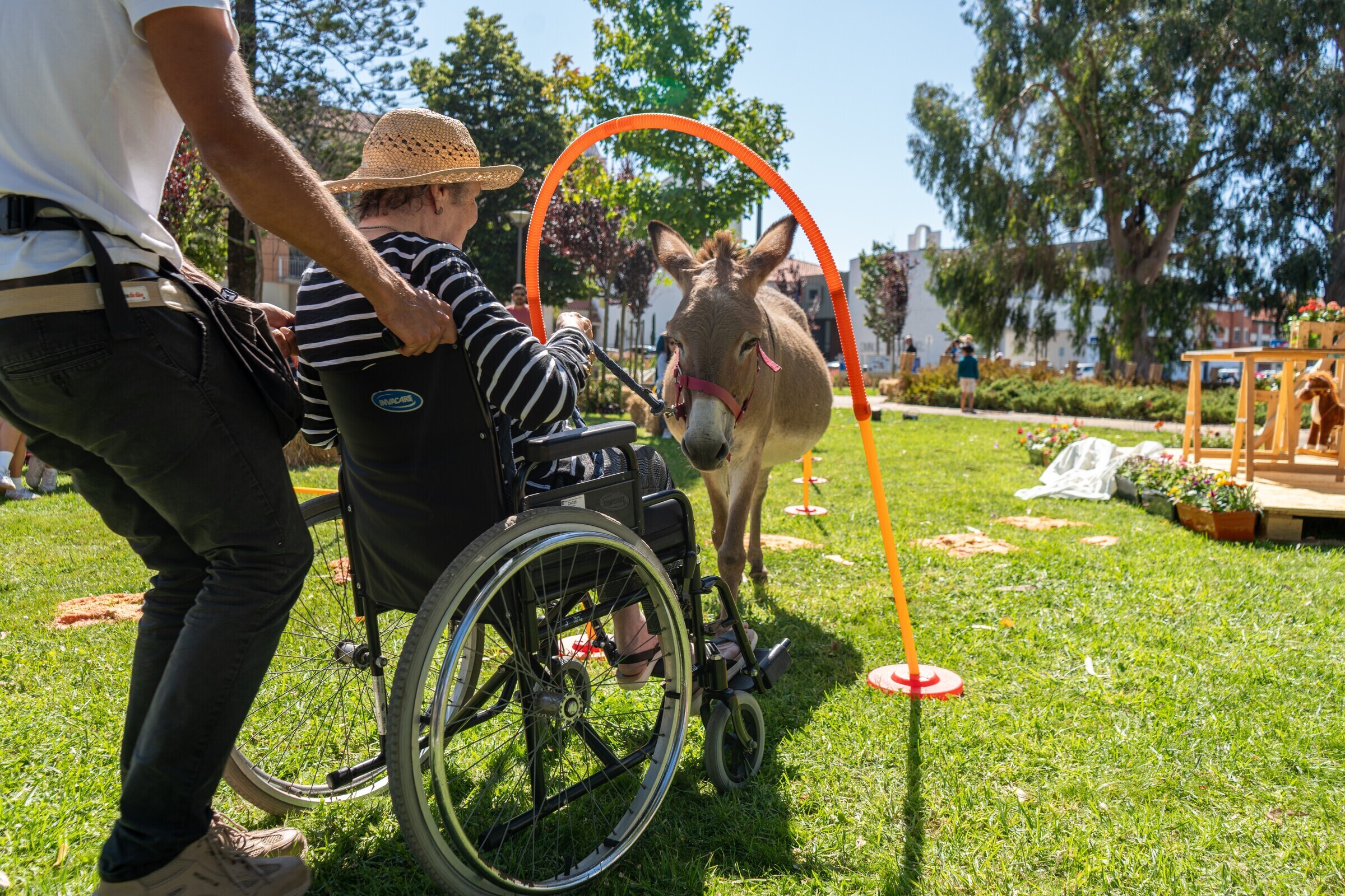 Festival Cabelos Brancos 