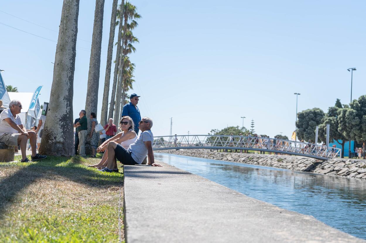 Festival do Bacalhau