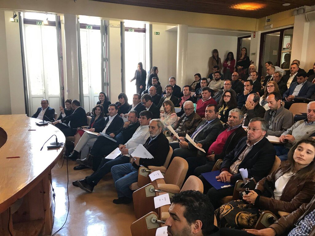 53674870_2722207371129998_7066883938379104256_o