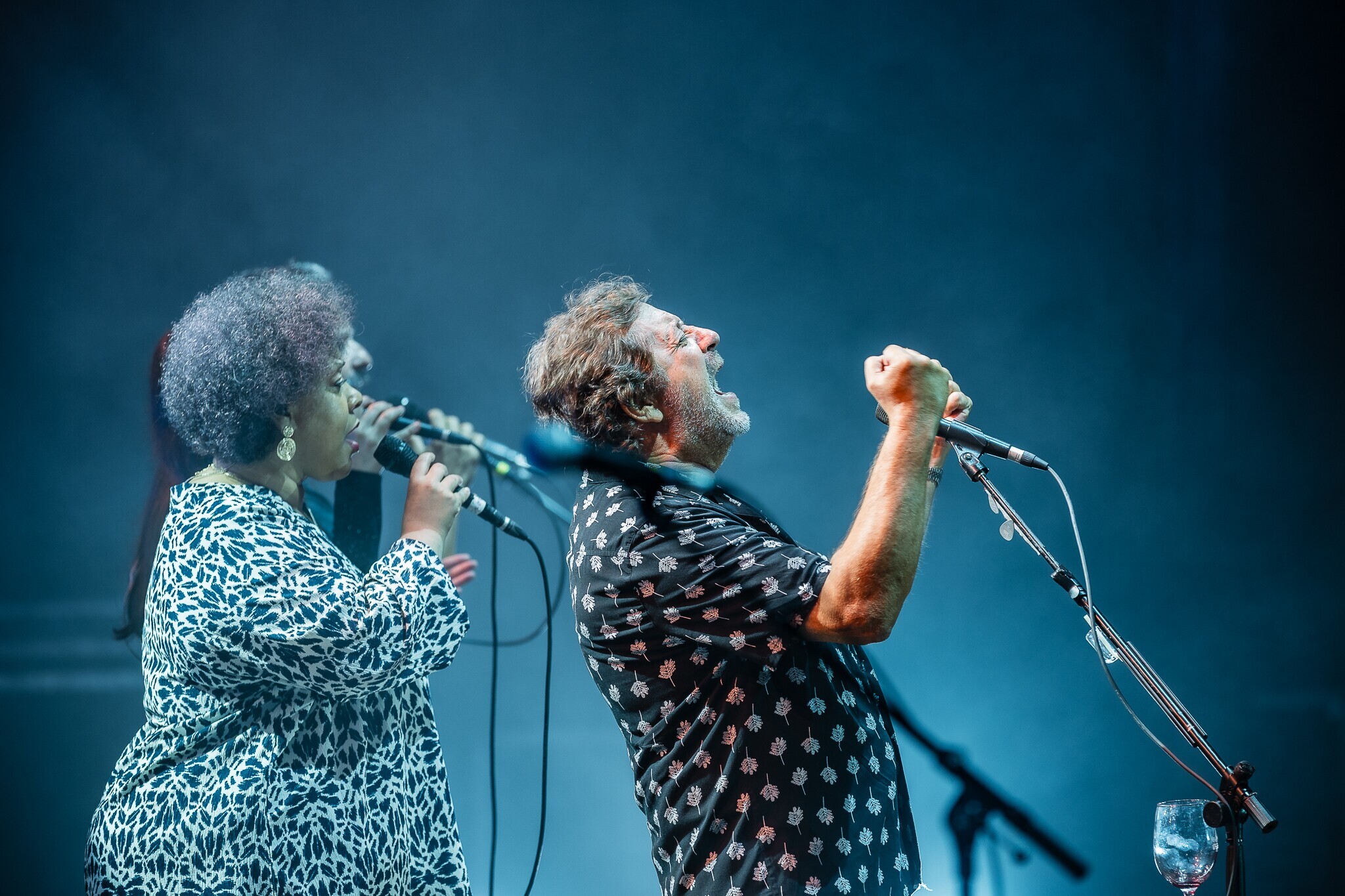 Concerto de Rui Veloso