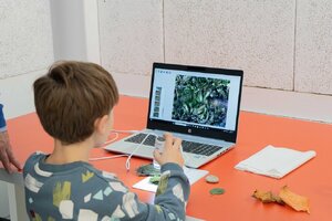 Dia Nacional da Cultura Científica