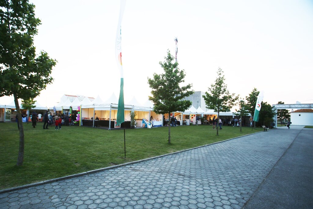 Festas de Vagos e Mostra Cultural