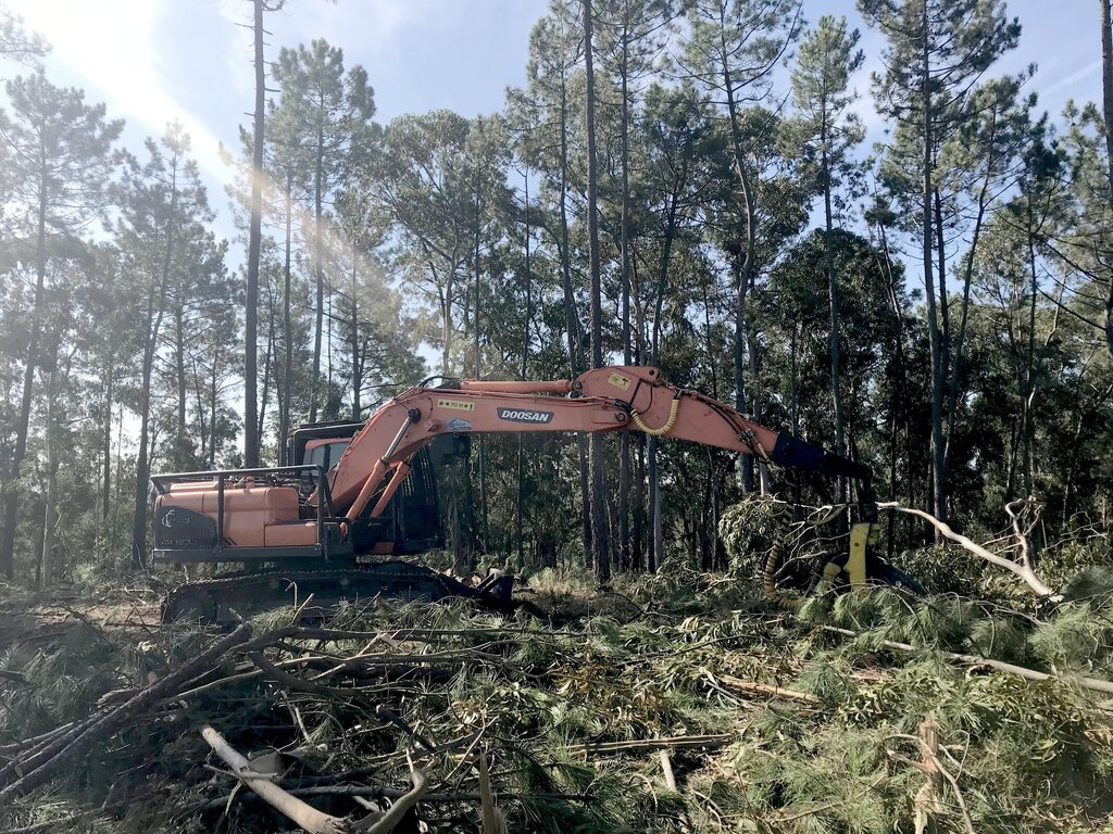 gestao_faixas_combustivel_2