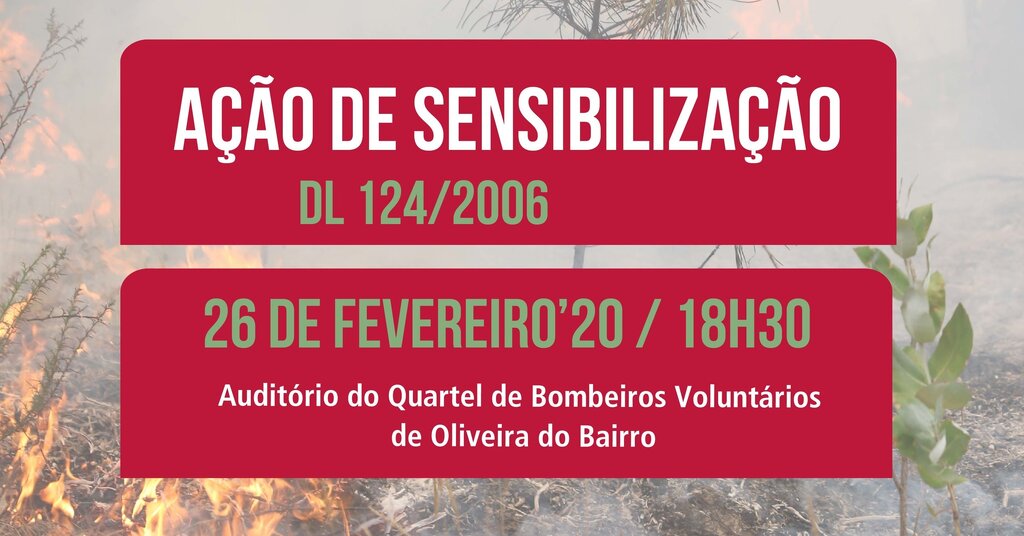 fogos_web_evento-07