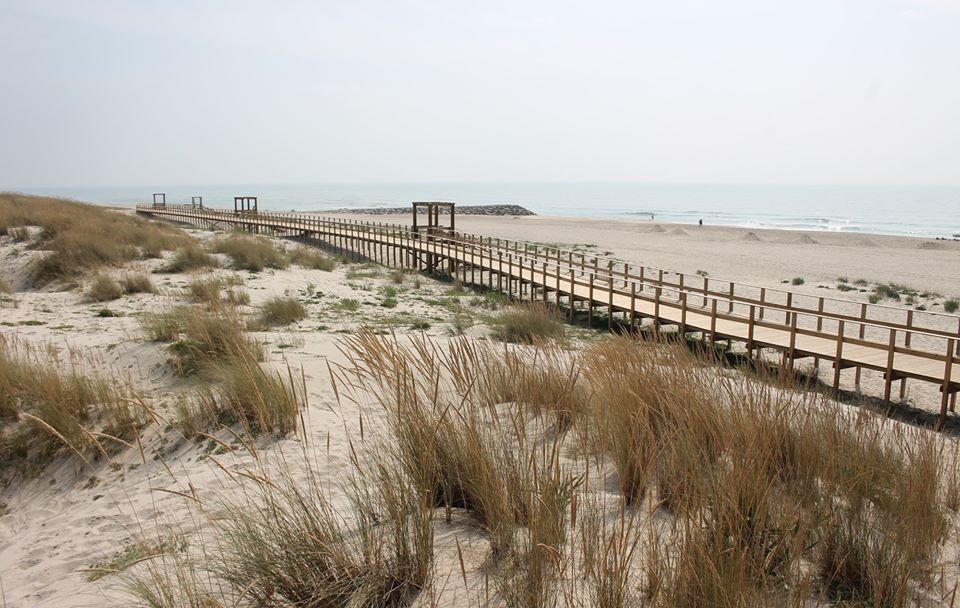 101834808_2961046157307040_4003160410386595840_o