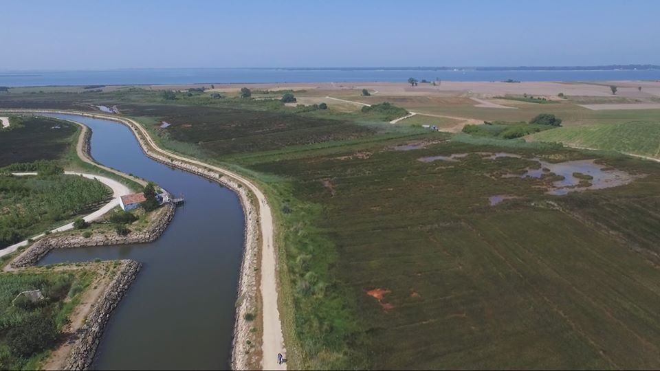 104216134_2985982134813442_862744887342215967_o