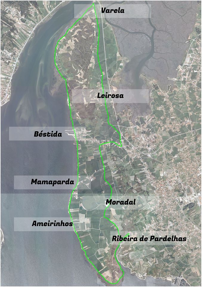 83331346_2985979204813735_5897838921952268577_o