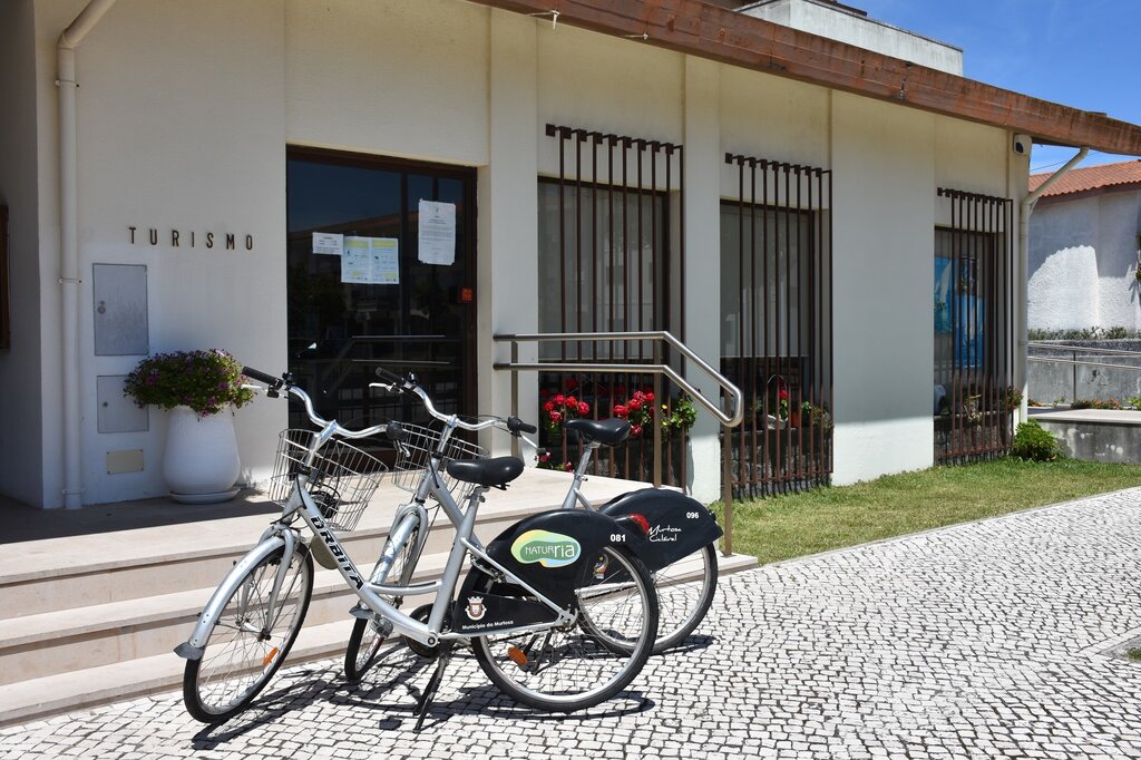 104191313_2994209843990671_8477917126818124928_o