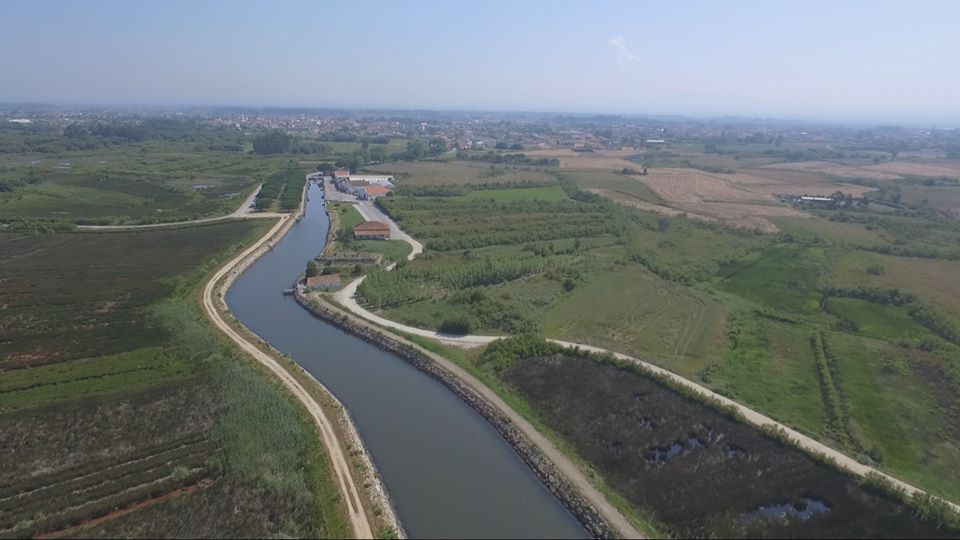 105011702_3002864103125245_6526398372863465348_o