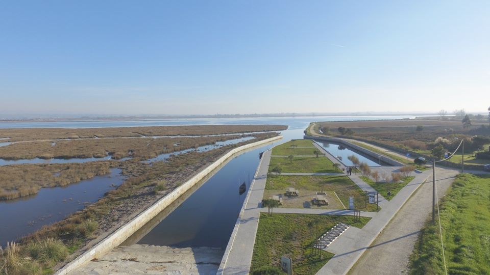 105491345_3002862686458720_5137213054648626034_o