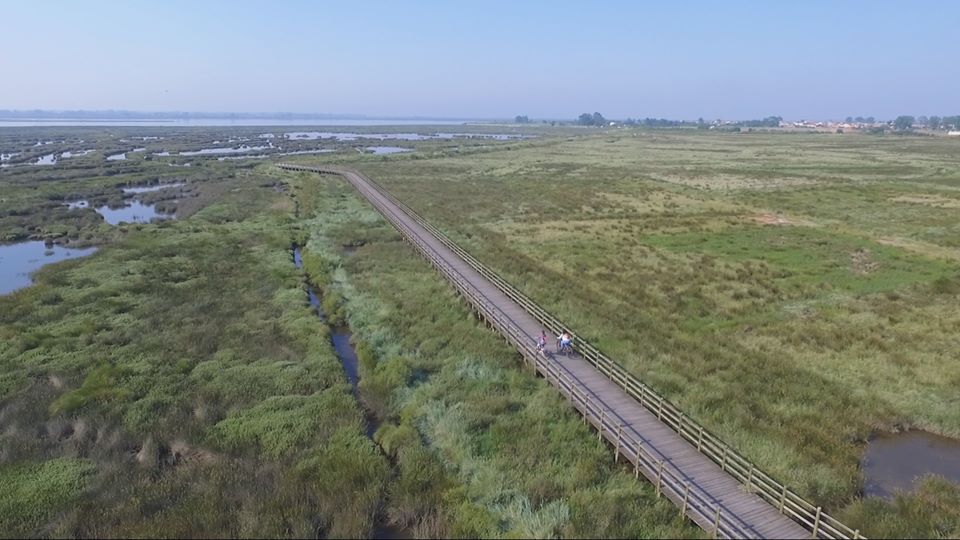 105358664_3002862876458701_3474750370186864342_o