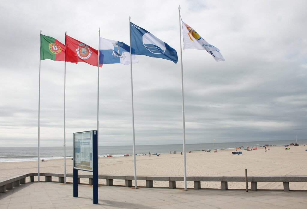 82447136_3020004488077873_179505996529594708_o