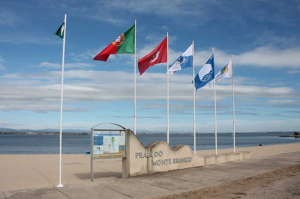 105848090_3020004591411196_103089500167169382_o