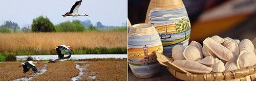 Produtos Ria de Aveiro