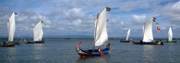 Regata de Moliceiros 2014