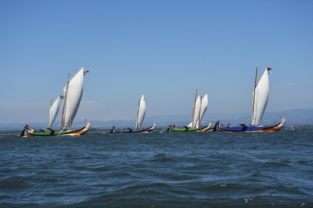 107419202_3042318985846423_1533508944289830909_o