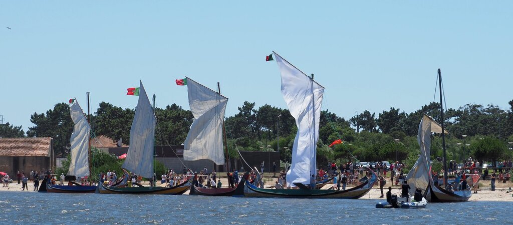 75340922_3042314392513549_6153195467918361327_o