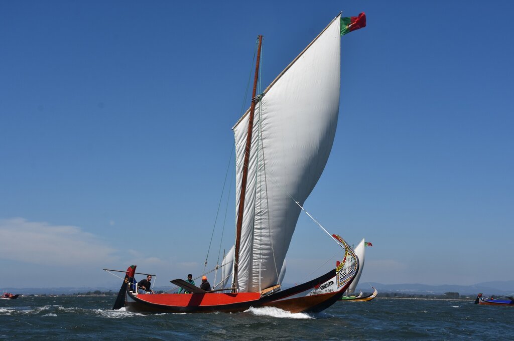 107033609_3042353252509663_1128720707949005773_o