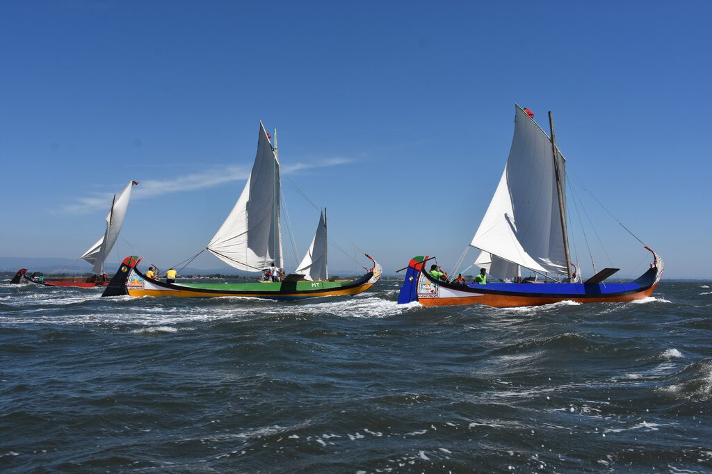 107443982_3042318545846467_876568247522536542_o