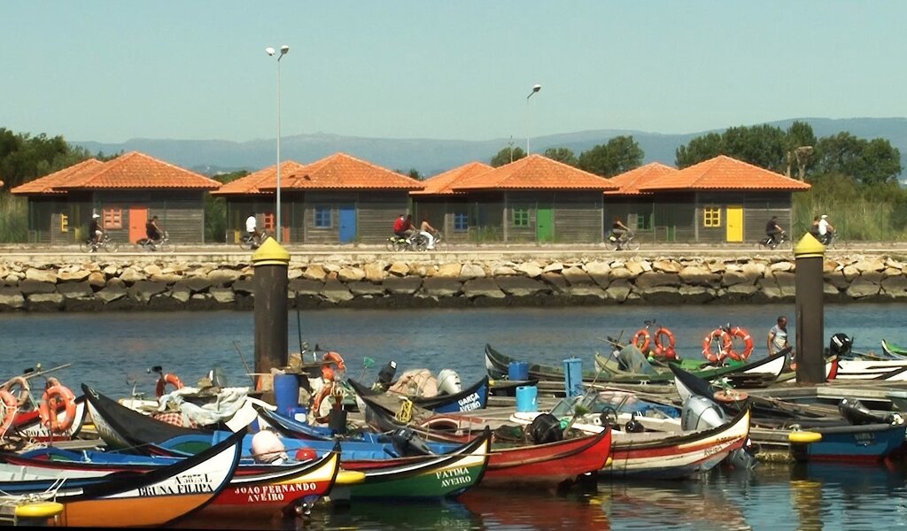 109809646_3072539556157699_3893639260539861738_o