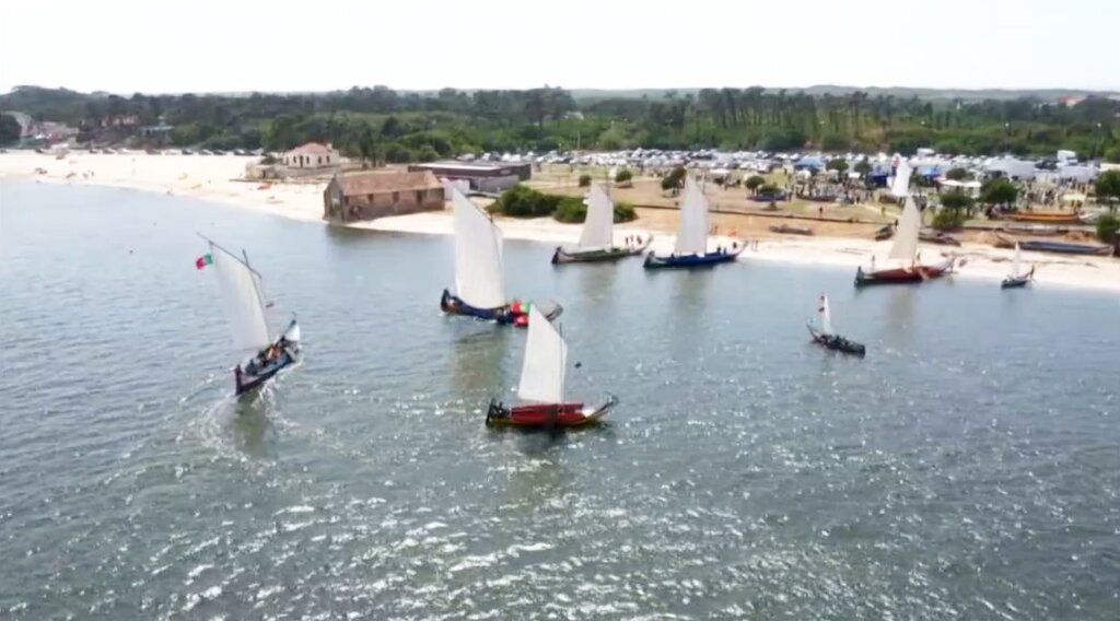 115803621_3086544371423884_308764121372002679_o